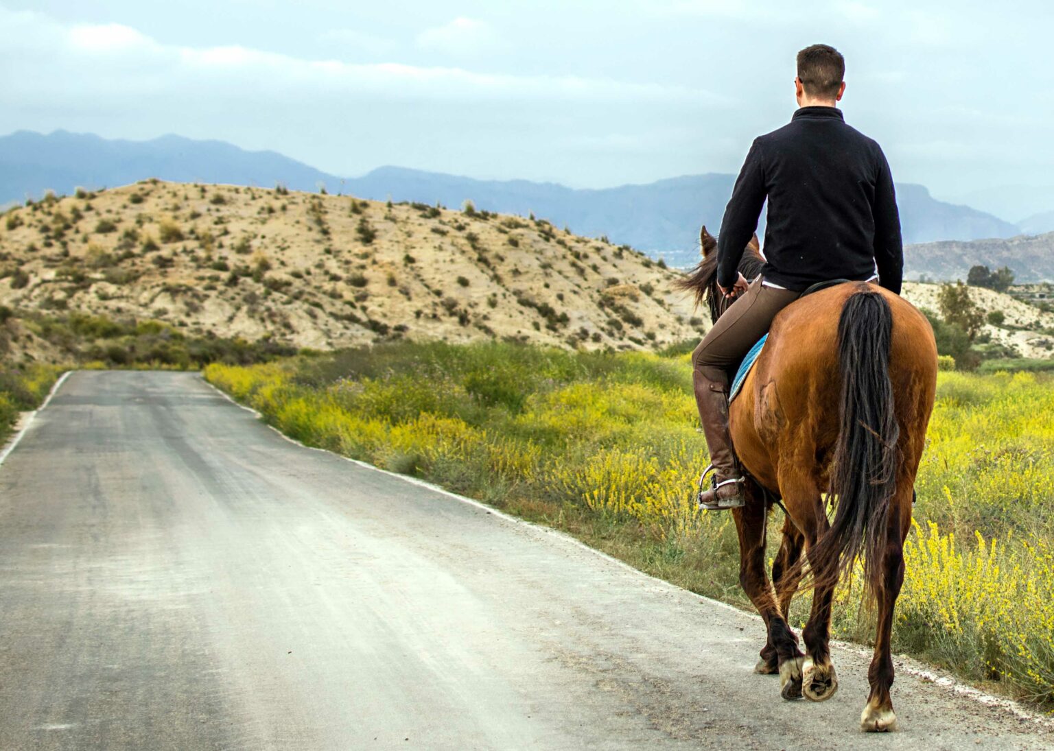 Equine Therapy in Utah for Addiction Spirit Mountain Recovery