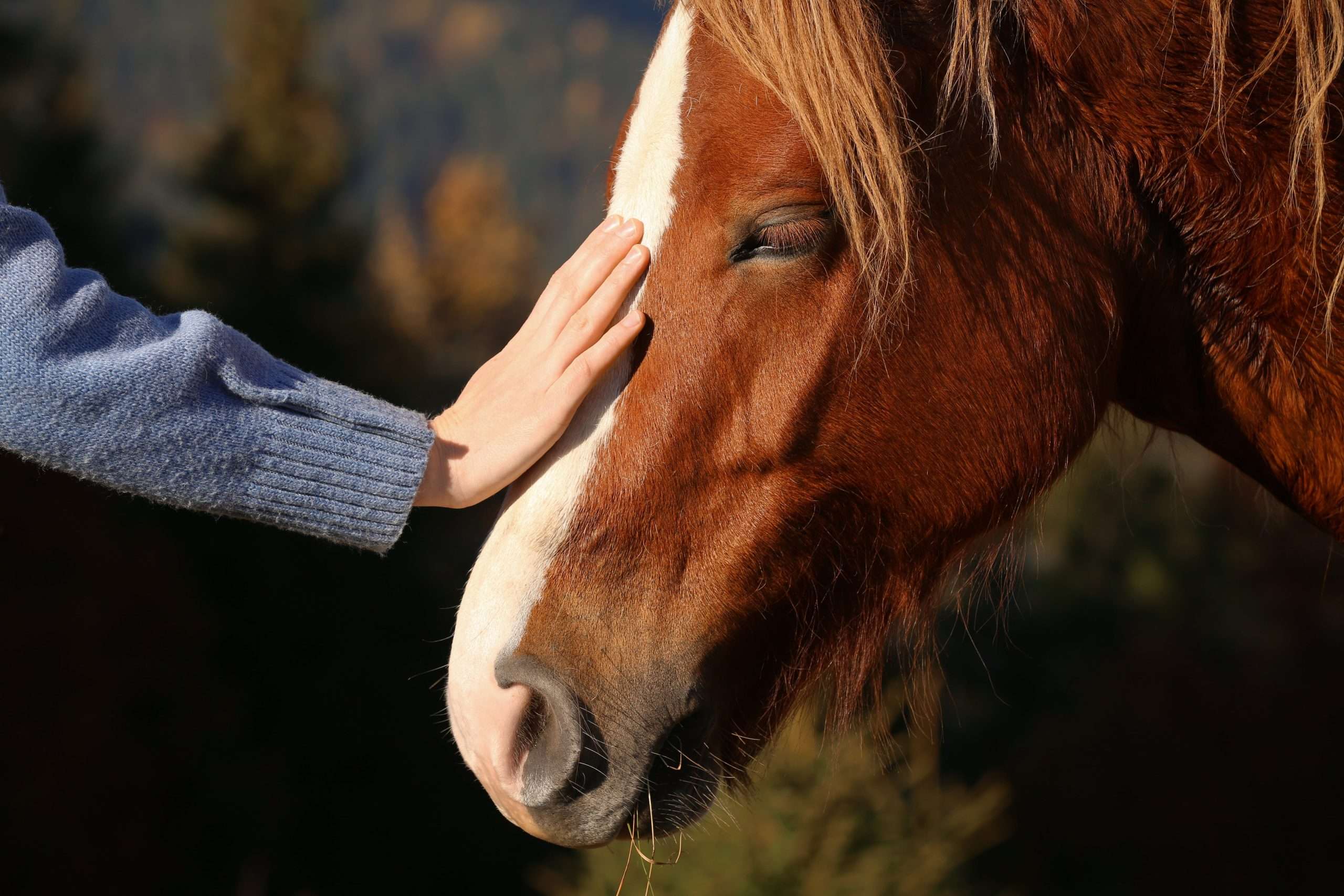 A woman enjoying equine therapy in Utah.