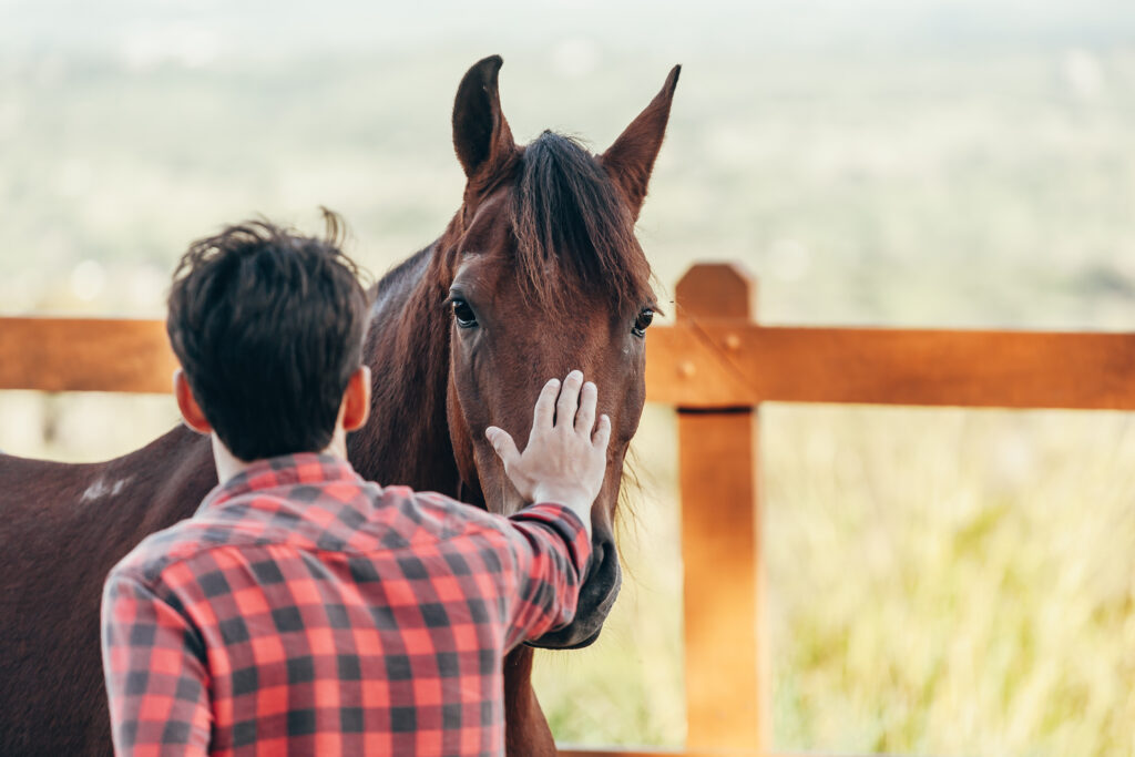 Equine-Therapy-In-Utah