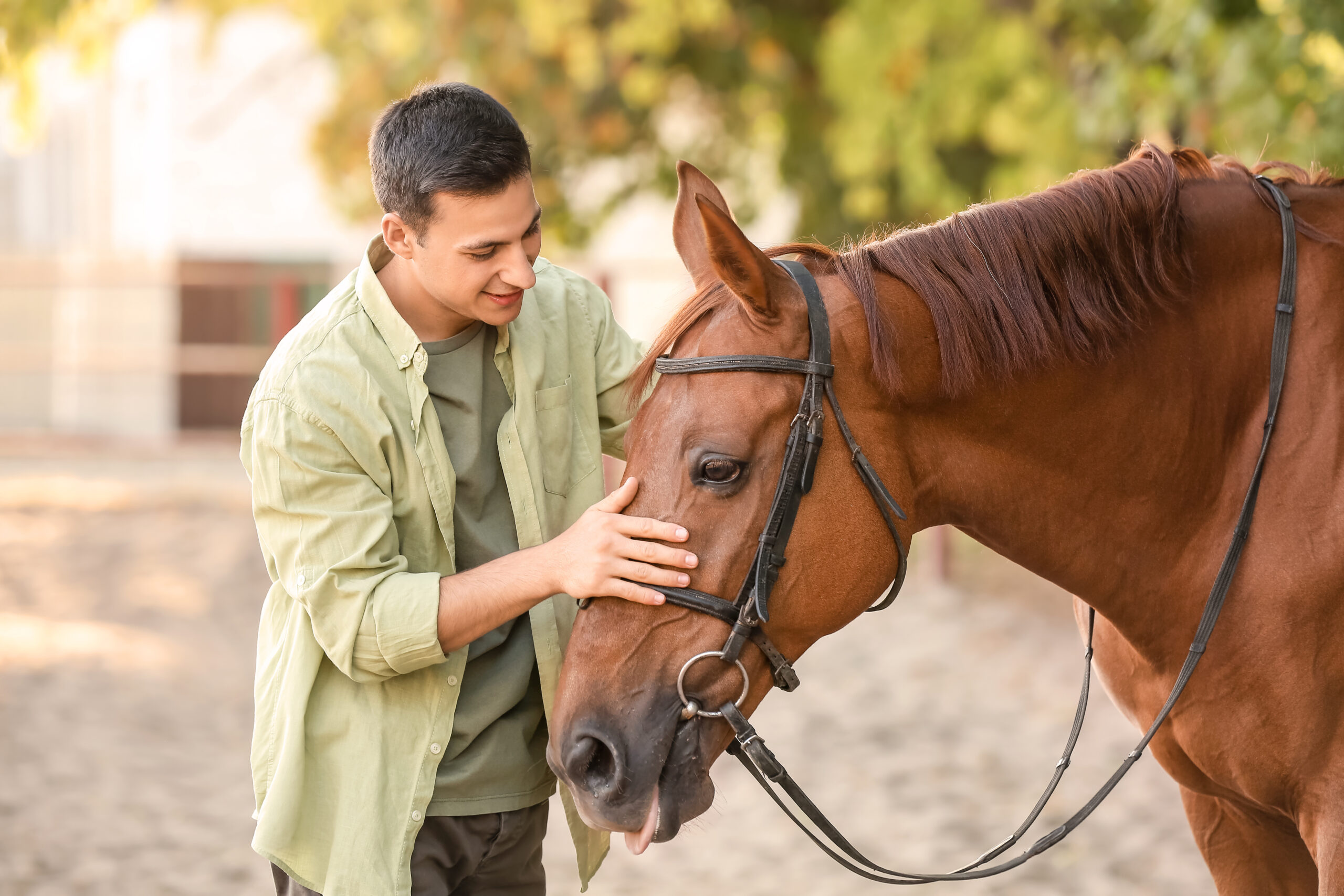 Equine Therapy Residential Treatment in Utah